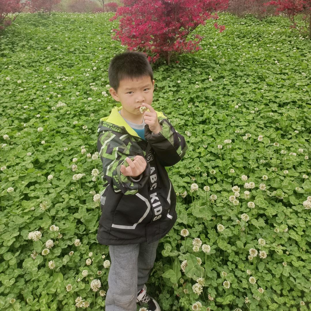 有你真好