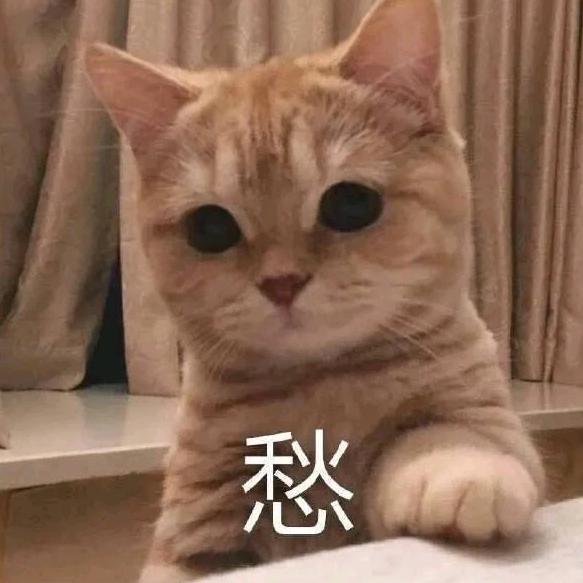 沈马、谢娜