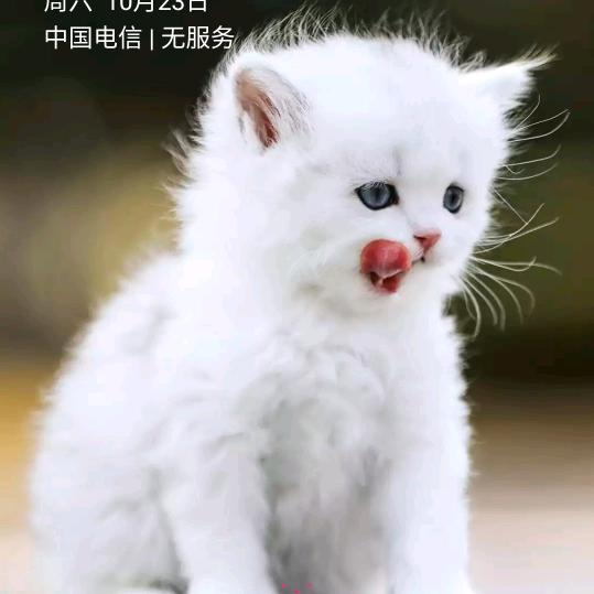 过好当下每一天