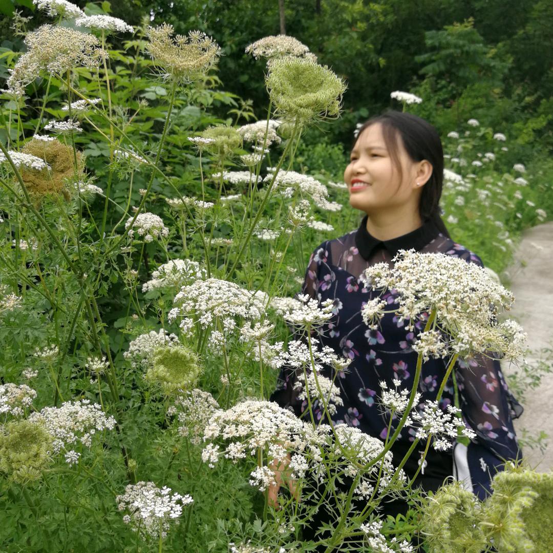 闲听花开