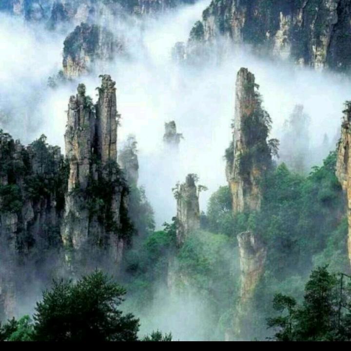 娜雅修心