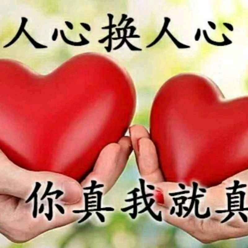 未来善待自己🐇杨