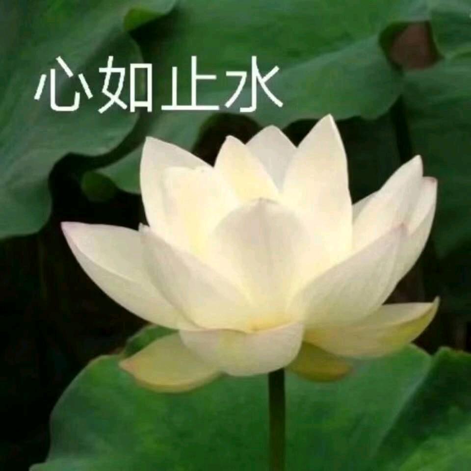 手工棉鞋店
