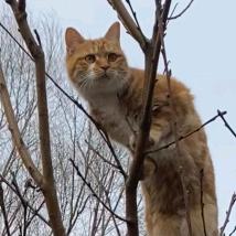 认识你就是缘分