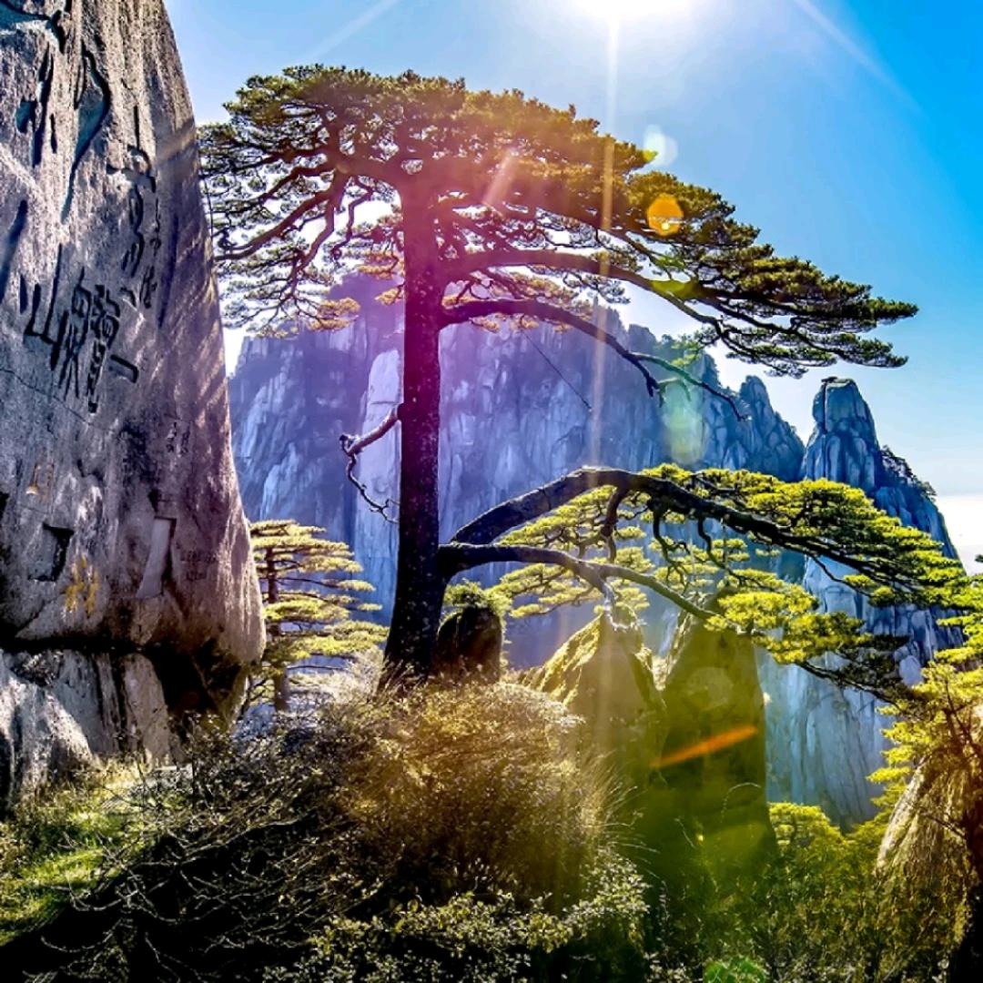 健康快乐每一天