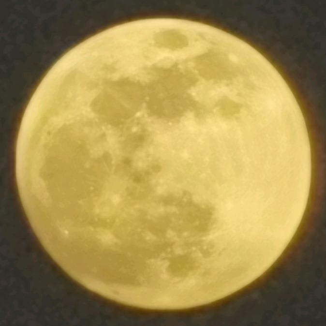 深夜食糖