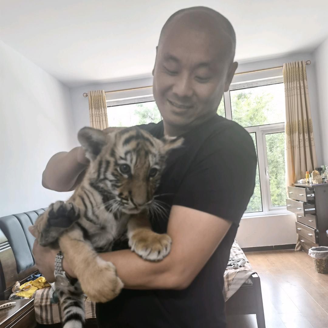 @凯哥（凯哥汽车）