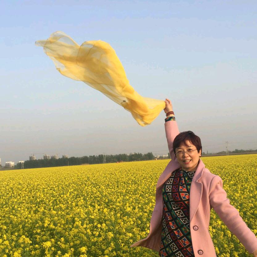 🌻静怡花海🌻