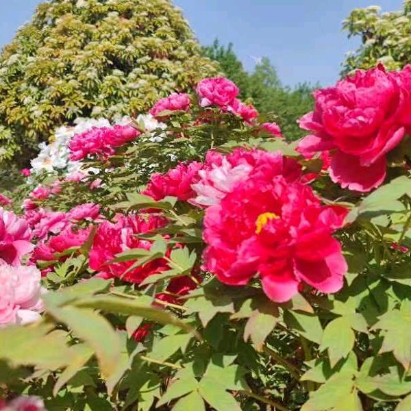 @顺风顺水顺财神