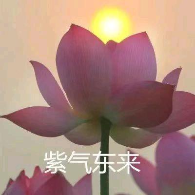 刘代凤.