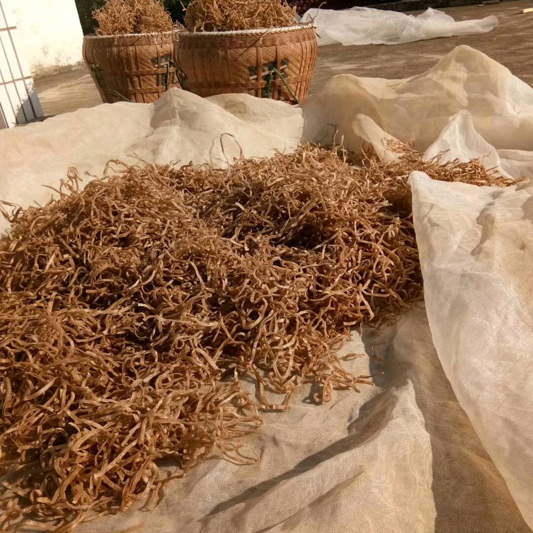 万年懒豆腐