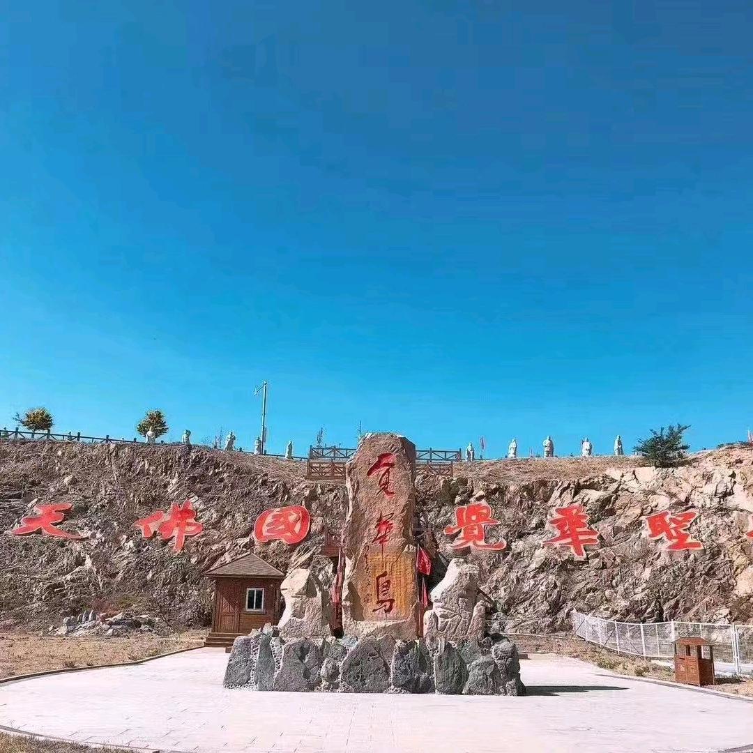 觉华岛全能小正赶海