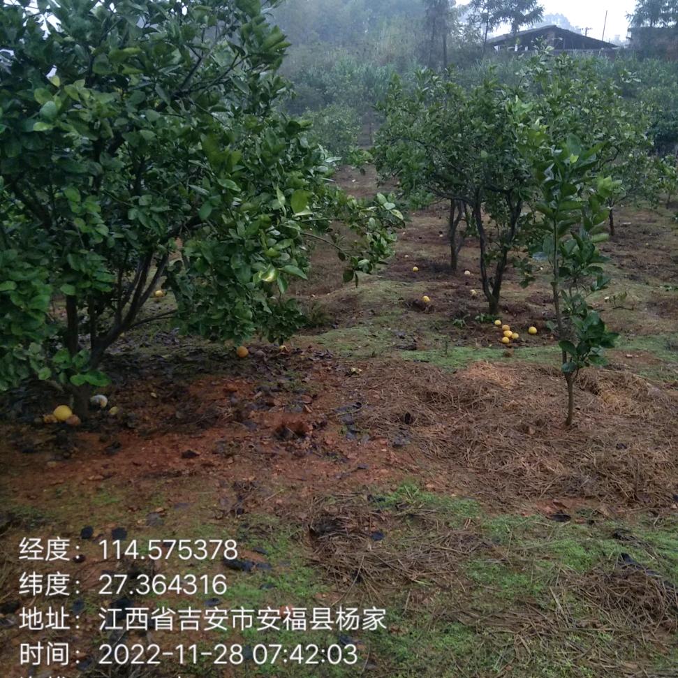 一路顺风