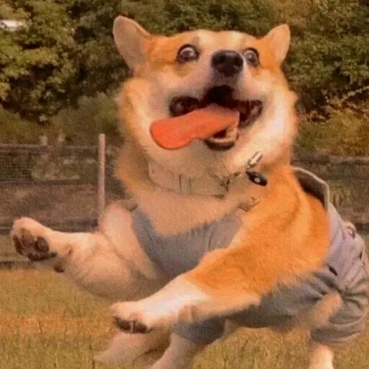 五台山导游溪竹~(可代办)