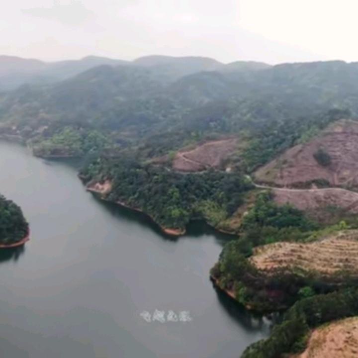 真好看