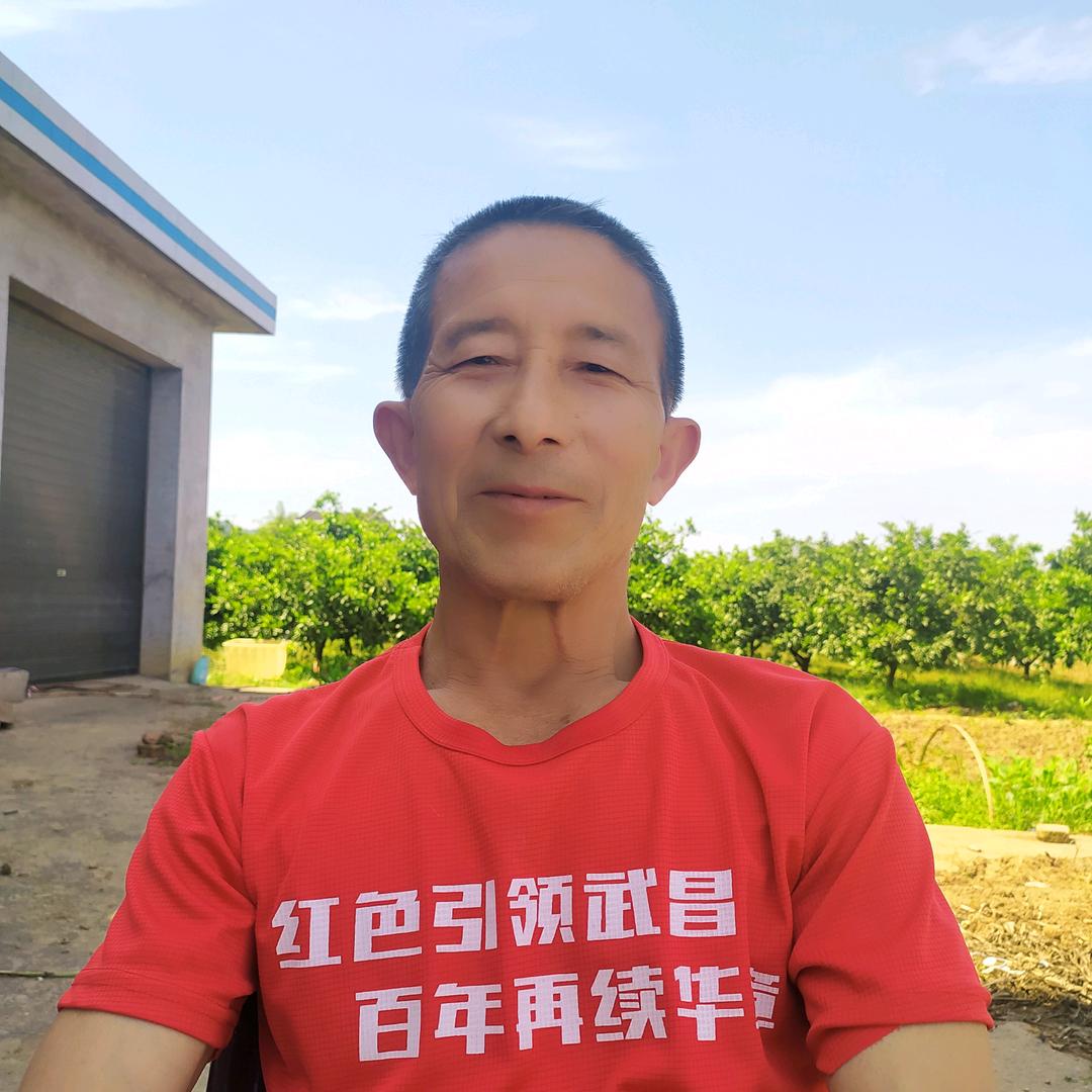汪大哥