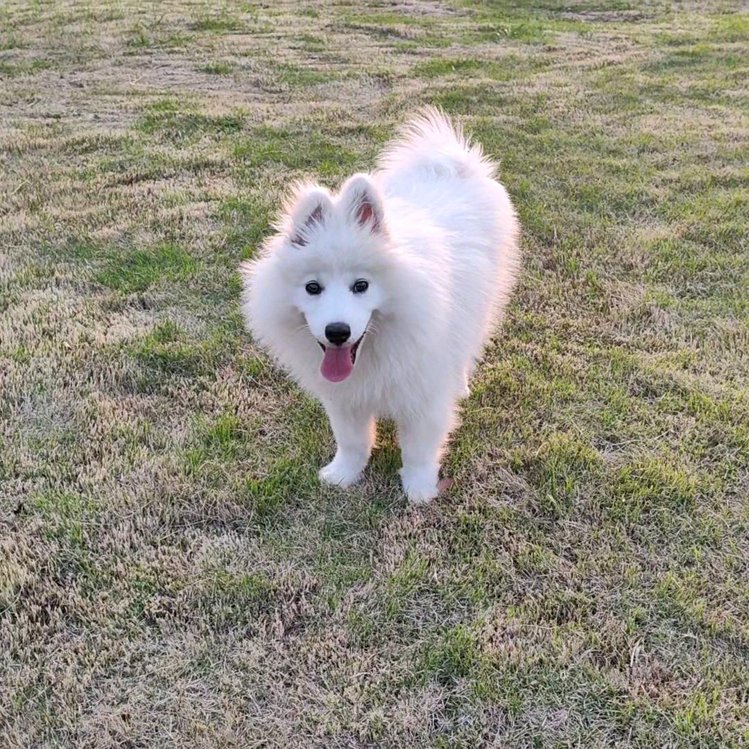 没有理由不努力