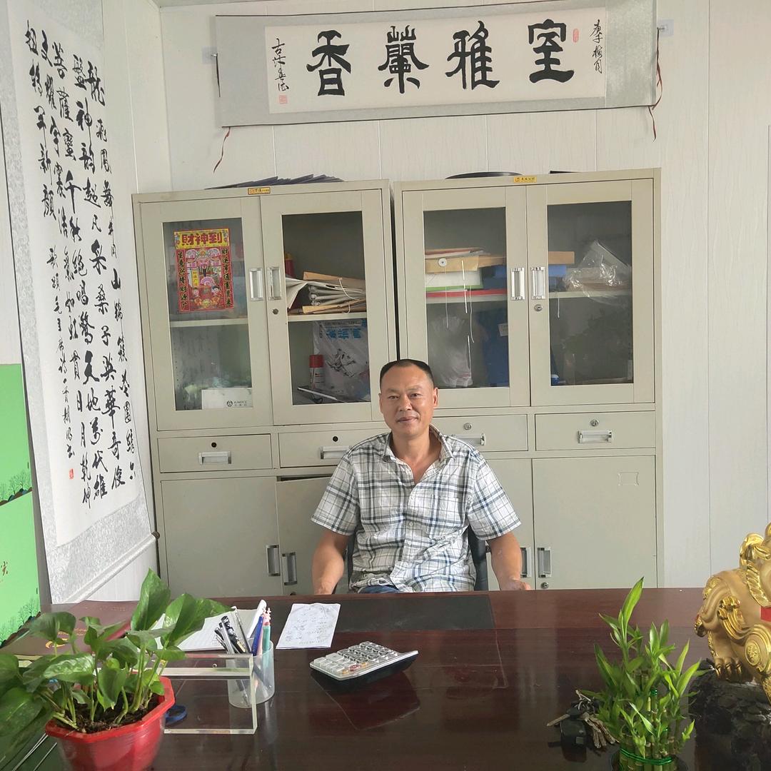 回头