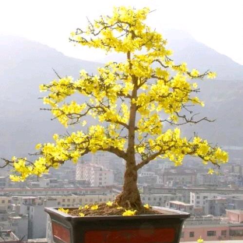 ⚠️深深海洋