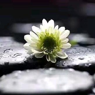 爱琴海