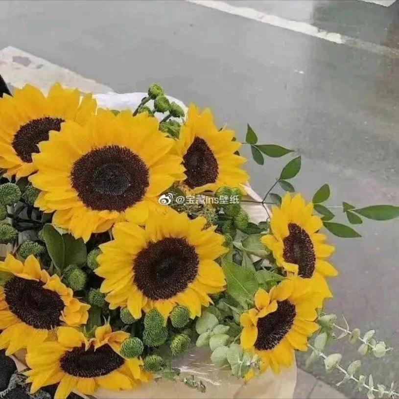 相思风雨中