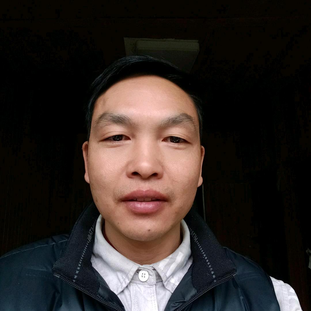 郑歌
