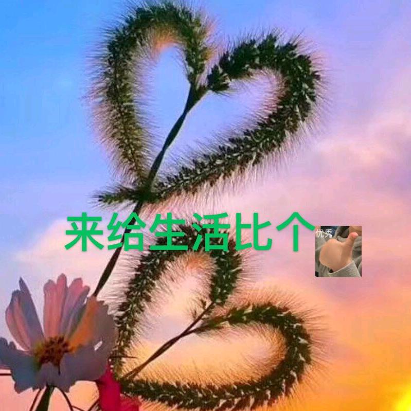 卖密封圈的小伙伴