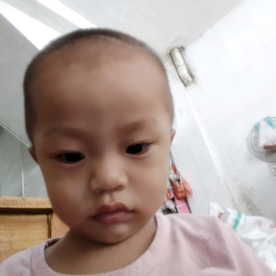 程秀珍