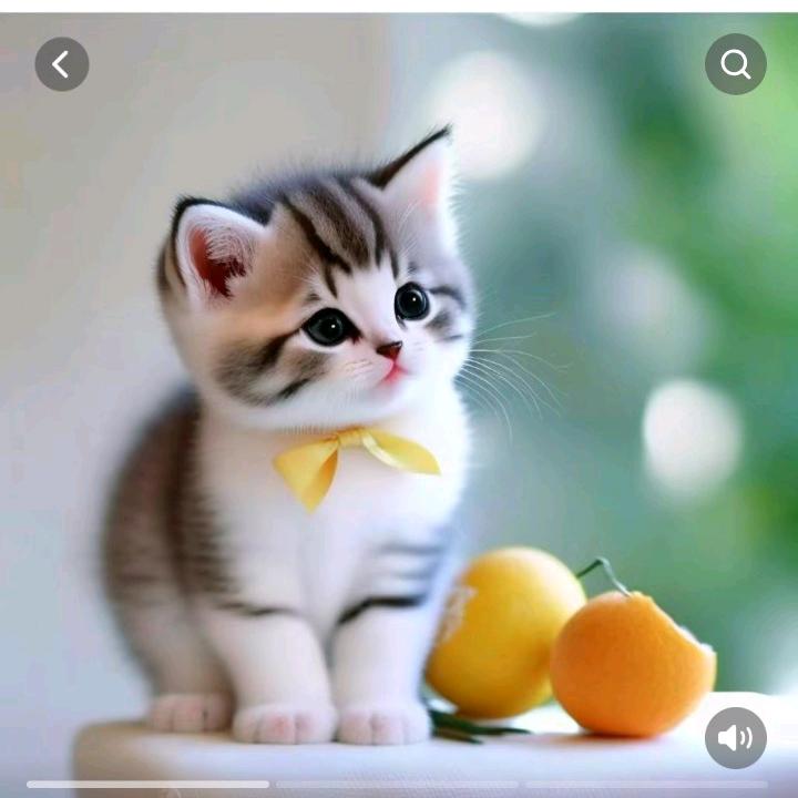 幸福，🌸糖果。