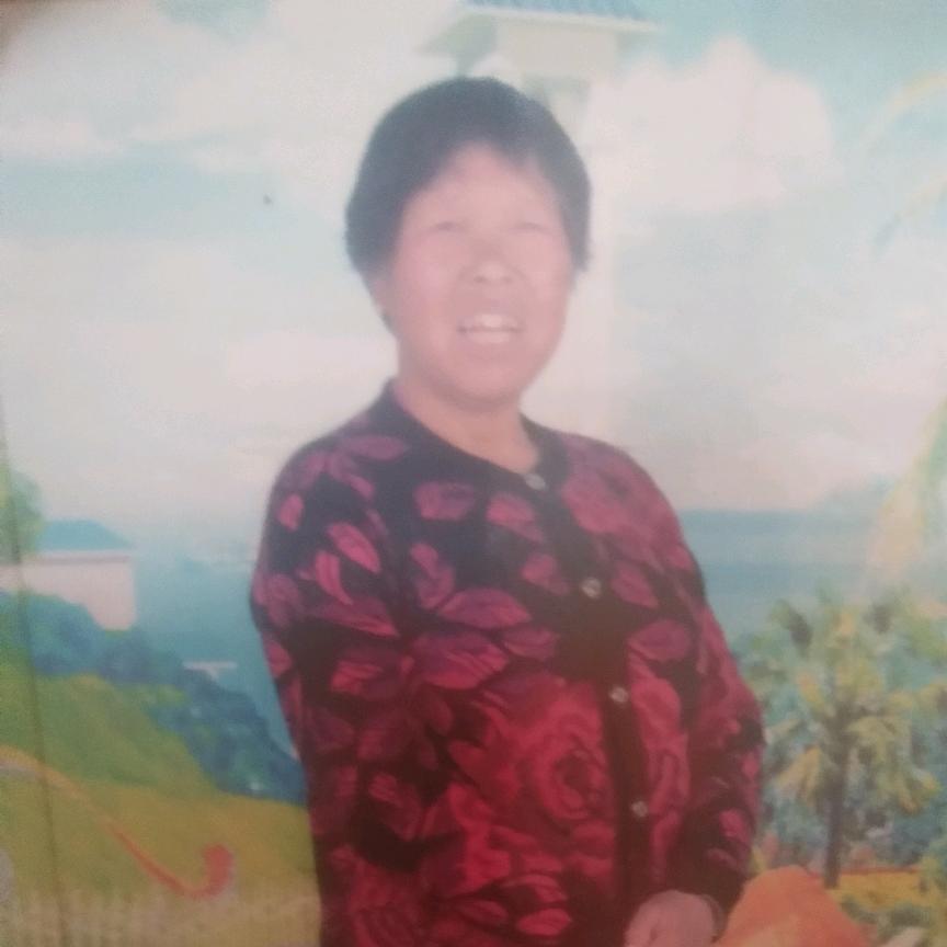 我是一个秦腔爱好者