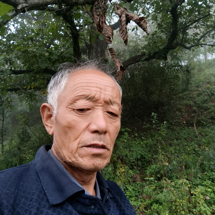 农村李哥（大号）