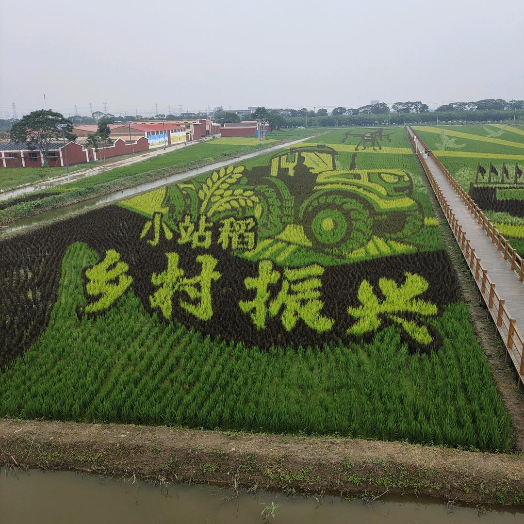 为别人着想的善良