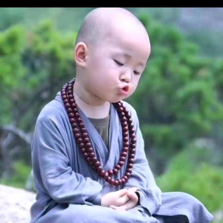 你若盛开 蝴蝶自来