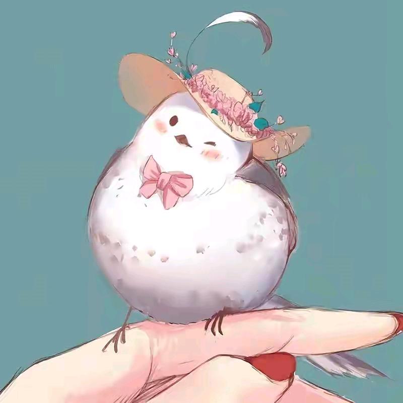 善缘