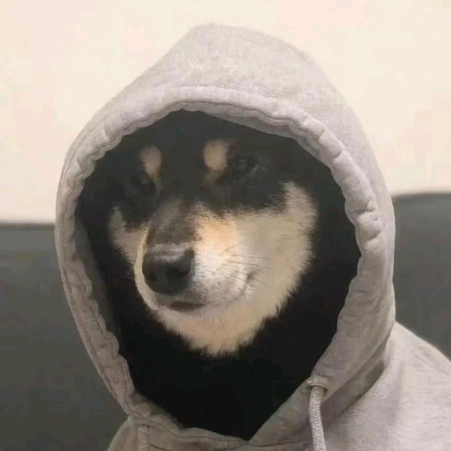 什么浩