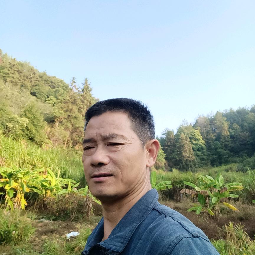 刘建新