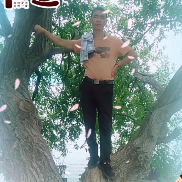 小杨