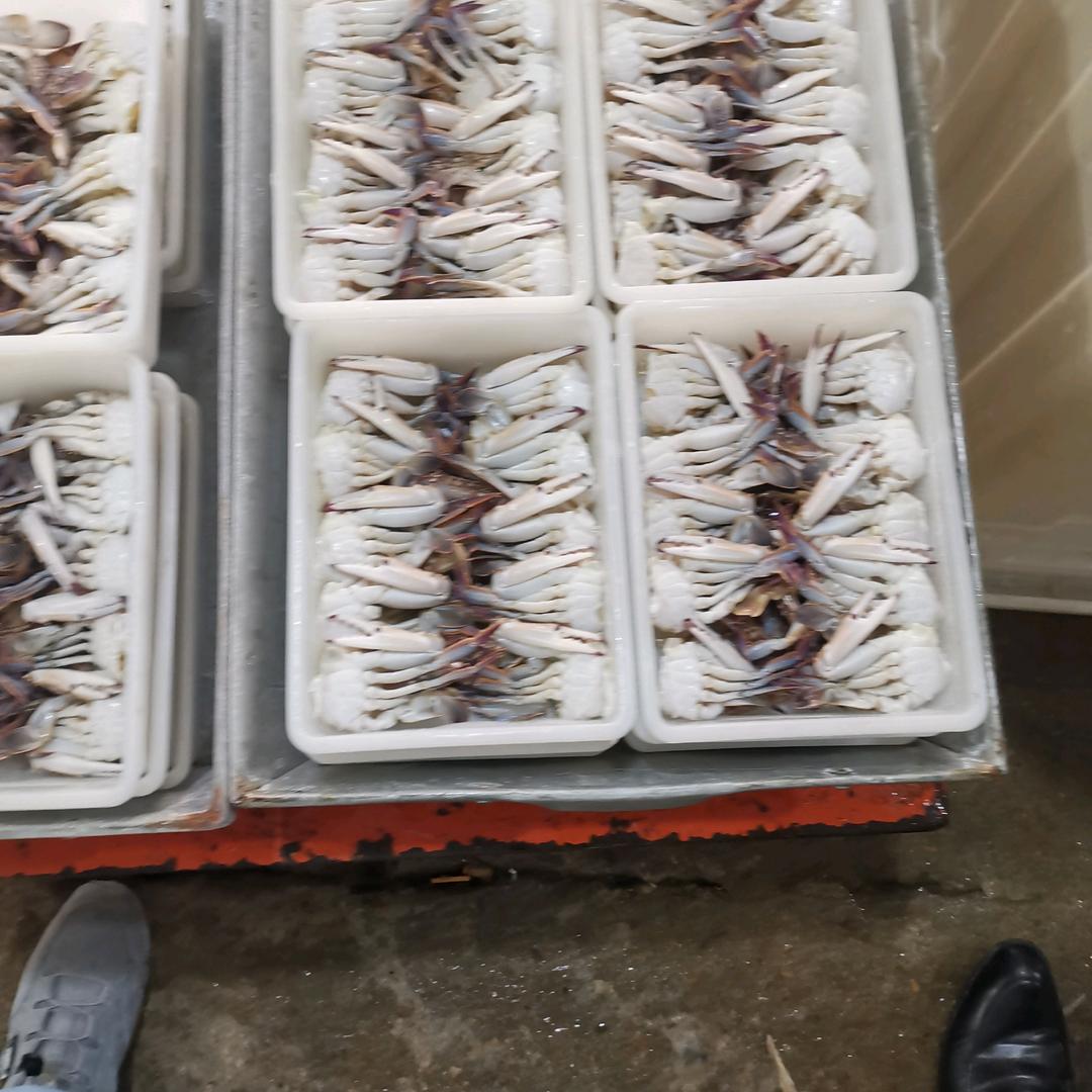 风流一刀