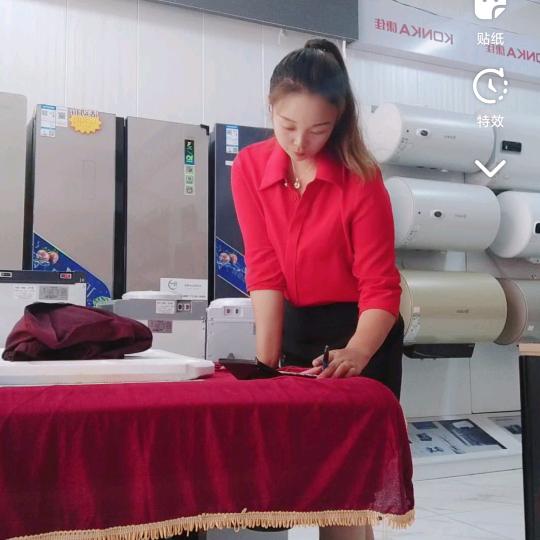 王燕  家具家电