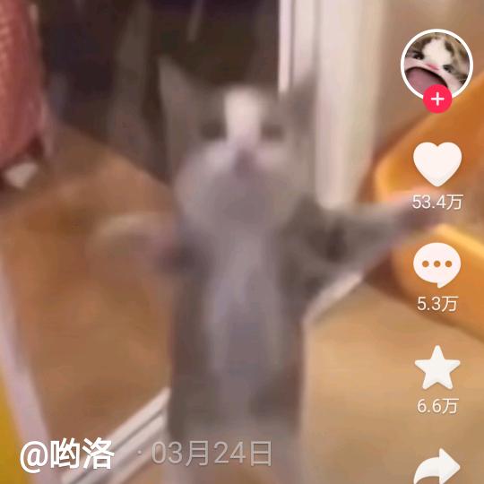 你好