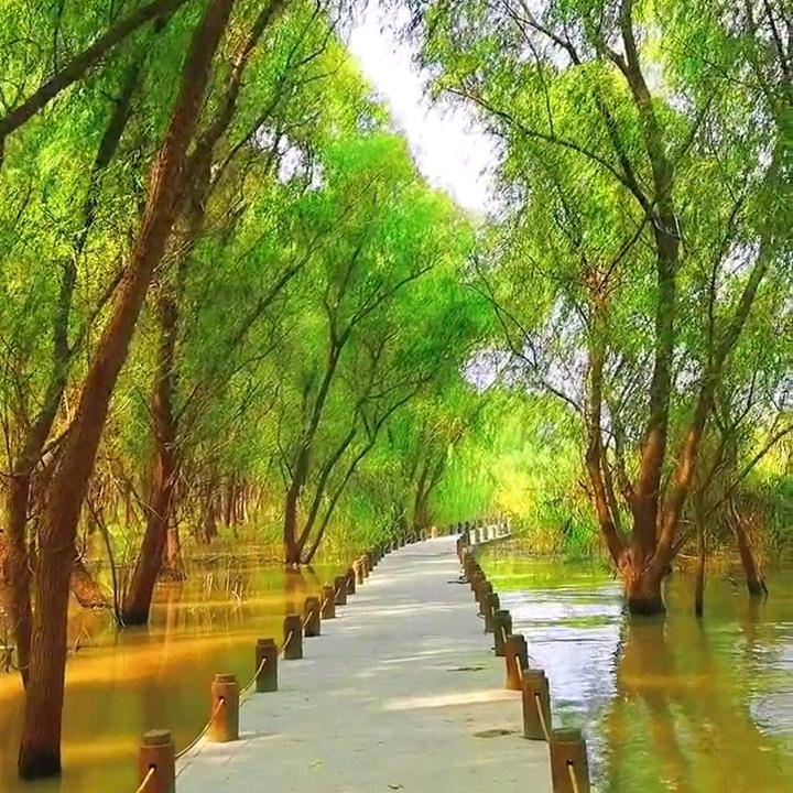 Qx原创拍摄