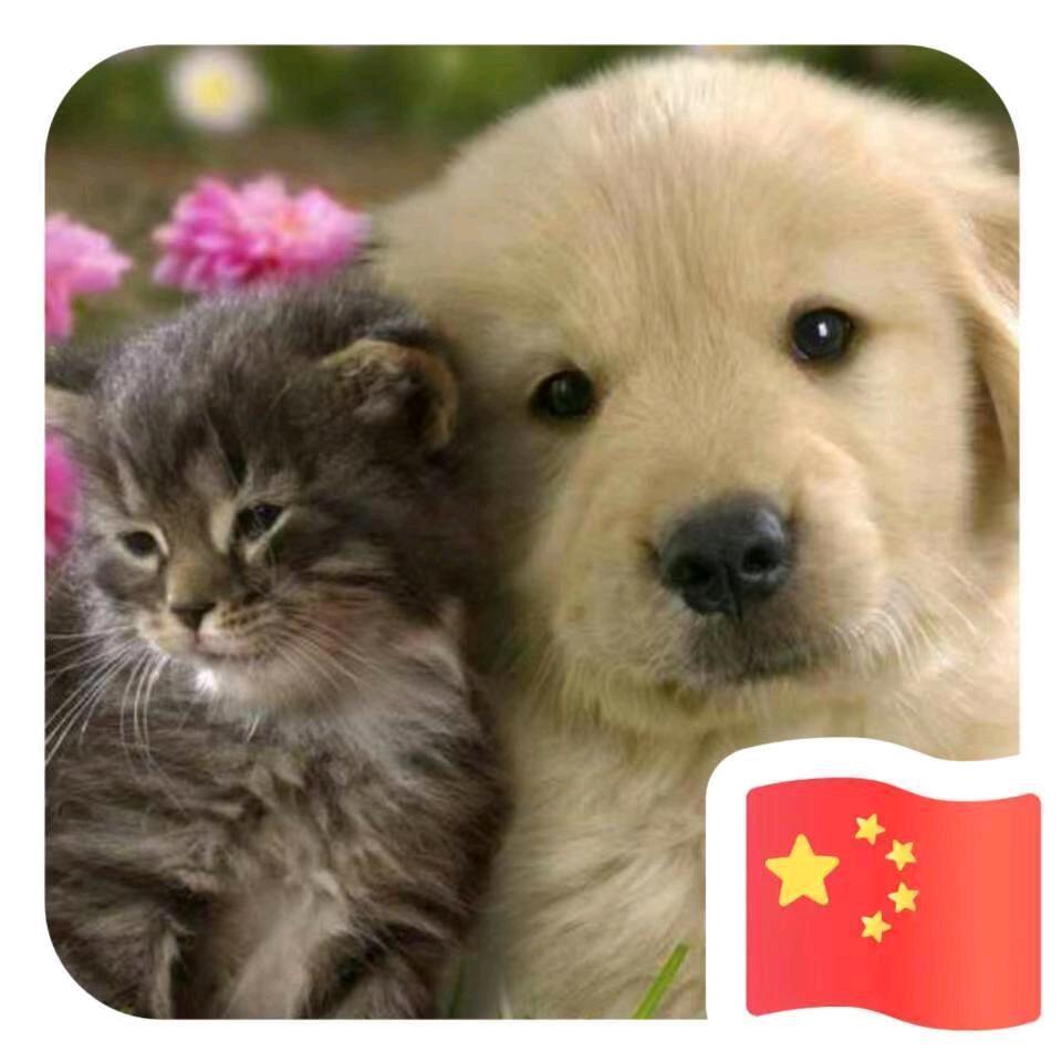没有了棱角的石子