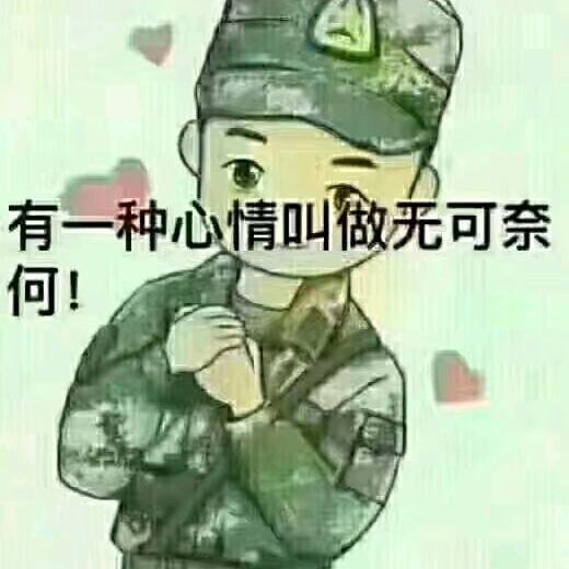 凌风听暮蝉