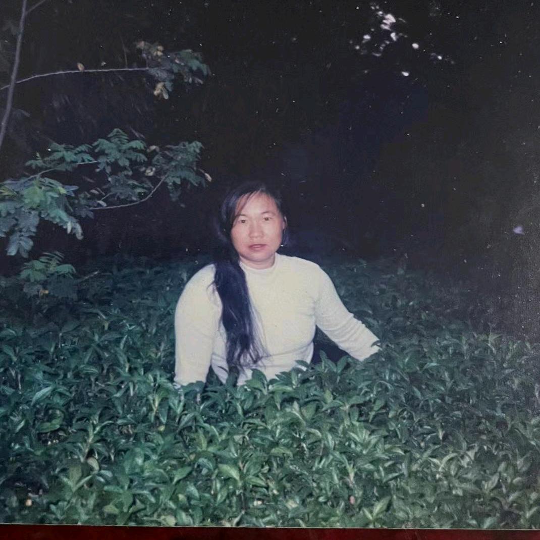 快乐人生好运来