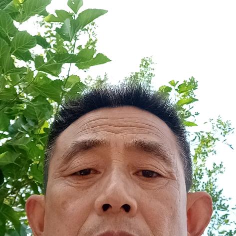 龙哥