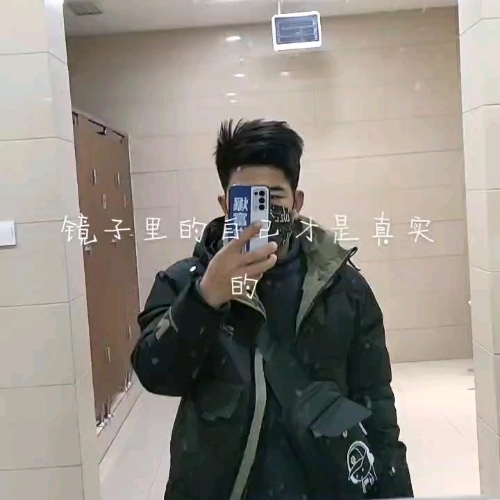 本是葬花人，葬花亦葬人