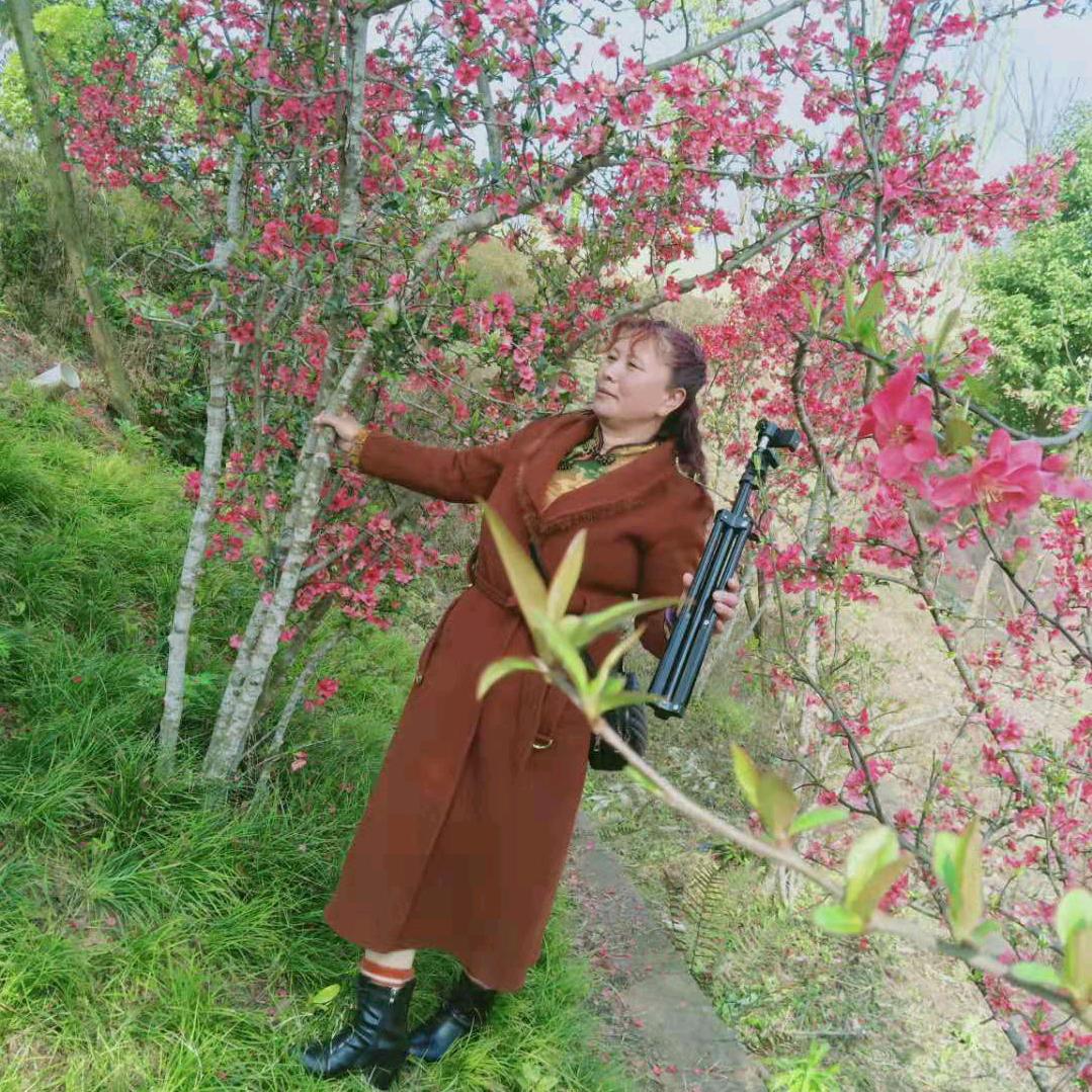 美美