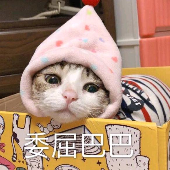 漾