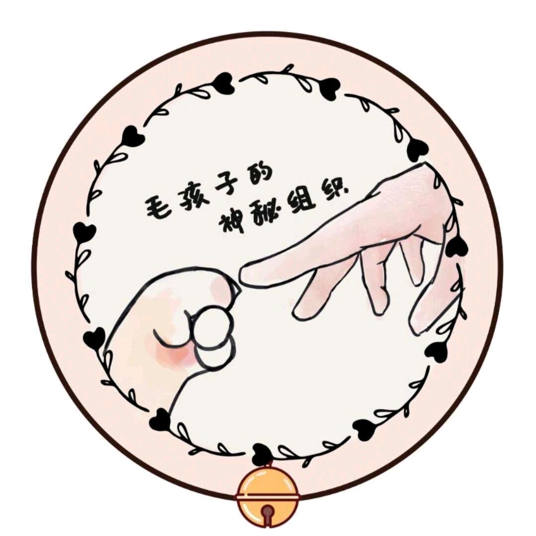 信师猫猫团