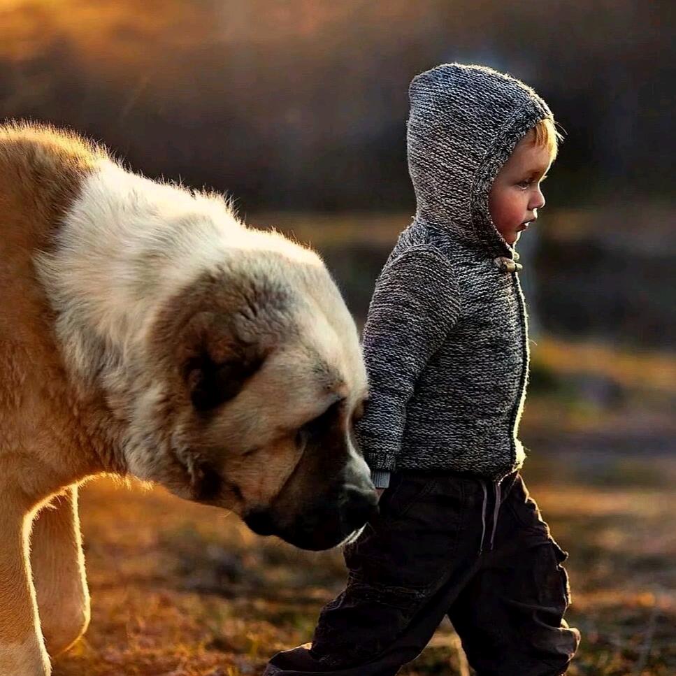 柳江里的小罗飞鱼